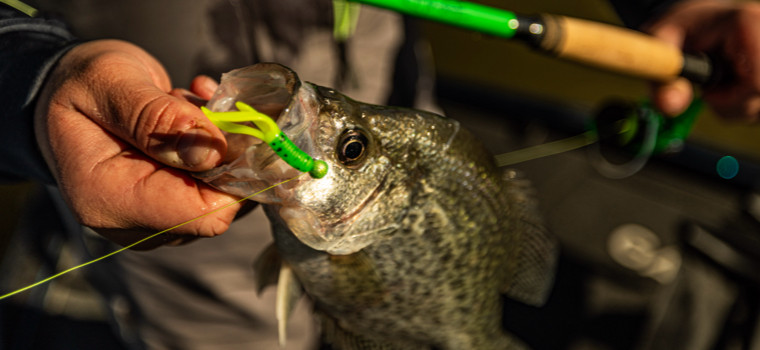 Baits.com Brands